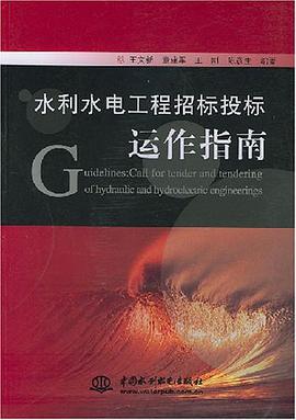 水利水电工程招标投标运作指南
