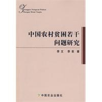 中国农村贫困若干问题研究 pdf epub mobi 电子书 下载