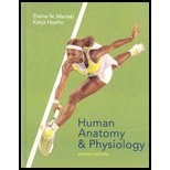 Human Anatomy and Physiology Complete - Textbook Only pdf epub mobi 电子书 下载
