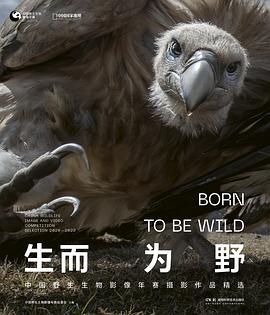 生而為野 pdf epub mobi 電子書 下載