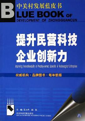 提升民营科技企业创新力 pdf epub mobi 电子书 下载