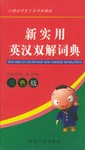 新实用英汉双解词典 pdf epub mobi 电子书 下载