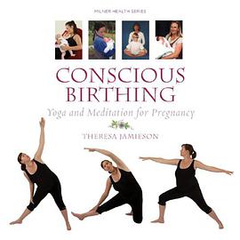 Conscious Birthing pdf epub mobi 电子书 下载