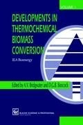Developments in Thermochemical Biomass Conversion pdf epub mobi 电子书 下载