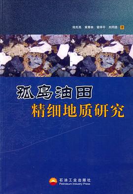 孤島油田精細地質研究 pdf epub mobi 電子書 下載