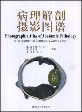 病理解剖摄影图谱 pdf epub mobi 电子书 下载