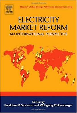 Electricity Market Reform pdf epub mobi 電子書 下載