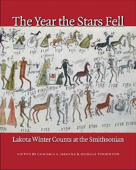 The Year the Stars Fell pdf epub mobi 电子书 下载