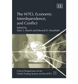 The WTO, Economic Interdependence, and Conflict pdf epub mobi 电子书 下载