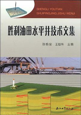 胜利油田水平井技术文集 pdf epub mobi 电子书 下载