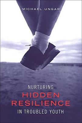 Nurturing Hidden Resilience in Troubled Youth pdf epub mobi 电子书 下载