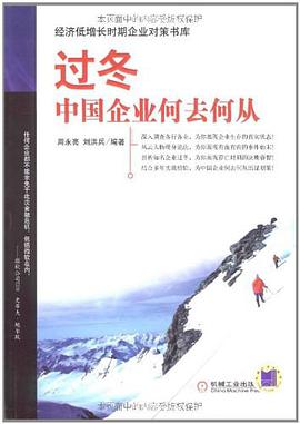 过冬中国企业何去何从 pdf epub mobi 电子书 下载