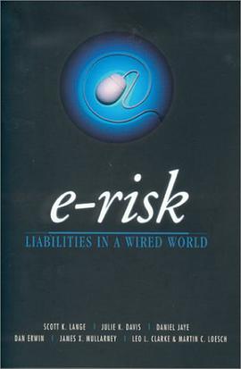 E-Risk pdf epub mobi 电子书 下载