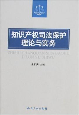 知识产权司法保护理论与实务 pdf epub mobi 电子书 下载