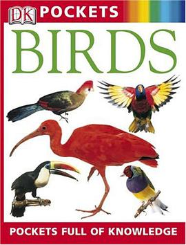 Pocket Guides pdf epub mobi 电子书 下载