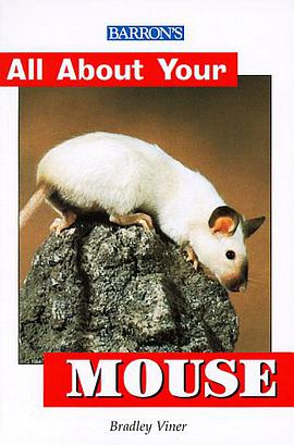 All about Your Mouse pdf epub mobi 电子书 下载
