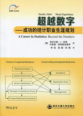超越数字——成功的统计职业生涯规划 pdf epub mobi 电子书 下载