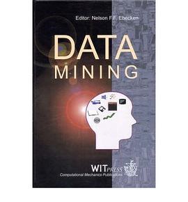 Data Mining pdf epub mobi 下载