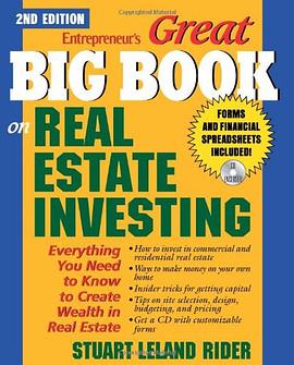Great Big Book on Real Estate Investing pdf epub mobi 电子书 下载