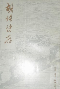 胡绳诗存 pdf epub mobi 电子书 下载
