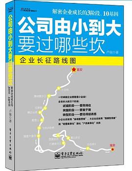 公司由小到大要过哪些坎 pdf epub mobi 电子书 下载