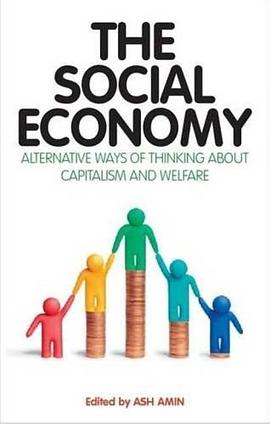 The Social Economy pdf epub mobi 电子书 下载