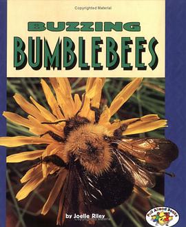 Buzzing Bumblebees pdf epub mobi 下载