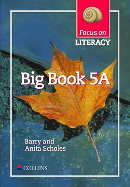 Focus on Literacy pdf epub mobi 电子书 下载