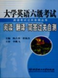大学英语六级考试阅读·翻译·简答过关自测 pdf epub mobi 电子书 下载