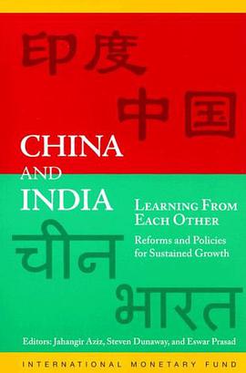 China and India Learning from Each Other pdf epub mobi 下载