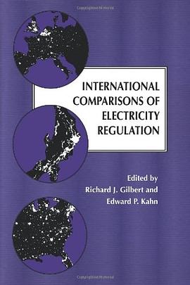 International Comparisons of Electricity Regulation国际电力管制比较 pdf epub mobi 电子书 下载