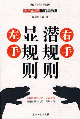 左手显规则右手潜规则 pdf epub mobi 电子书 下载