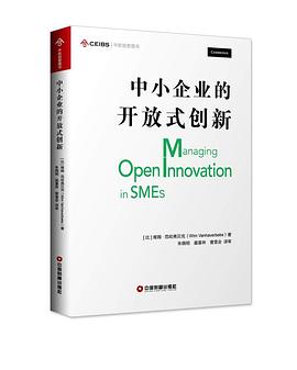 中小企业的开放式创新 pdf epub mobi 电子书 下载