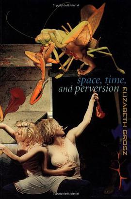 Space, Time and Perversion pdf epub mobi 电子书 下载
