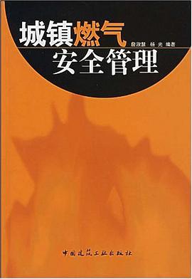 城镇燃气安全管理 pdf epub mobi 电子书 下载