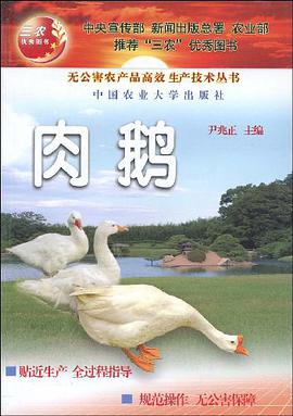 肉鹅 pdf epub mobi 电子书 下载