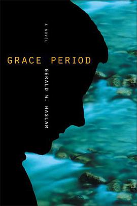 Grace Period pdf epub mobi 电子书 下载