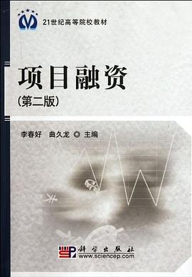 项目融资 pdf epub mobi 电子书 下载