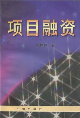 项目融资 pdf epub mobi 电子书 下载