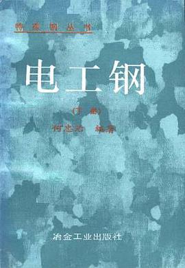 电工钢(上册)