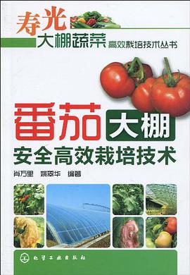 番茄大棚安全高效栽培技术 pdf epub mobi 电子书 下载
