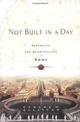 Not Built in a Day pdf epub mobi 电子书 下载
