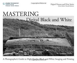 Mastering Digital Black and White pdf epub mobi 电子书 下载