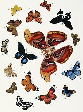 Chinese Natural History Drawings pdf epub mobi 电子书 下载