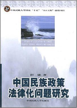 中国民族政策法律化问题研究