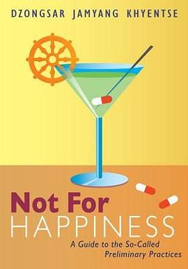 Not for Happiness pdf epub mobi 電子書 下載