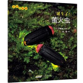 生命的故事 pdf epub mobi 電子書 下載