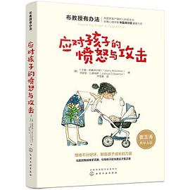 应对孩子的愤怒与攻击 pdf epub mobi 电子书 下载