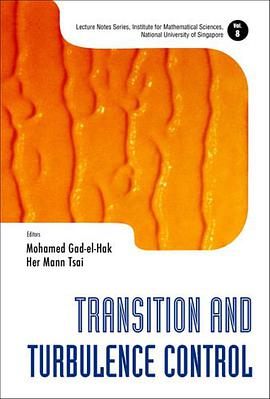 Transition And Turbulence Control pdf epub mobi 电子书 下载
