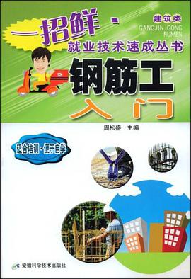 钢筋工入门 pdf epub mobi 电子书 下载